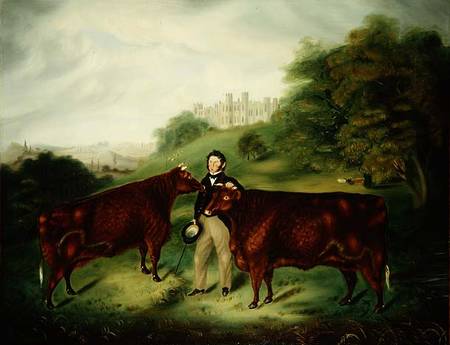 Thomas Ellman with Sussex Red Cattle von English School