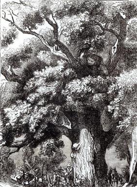 Charles II (1630-85) Hidden in the Oak Tree, 14th October 1651 (engraving) (b&w photo) 18th
