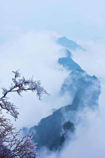 Das Wolkenmeer von Zhangjiajie