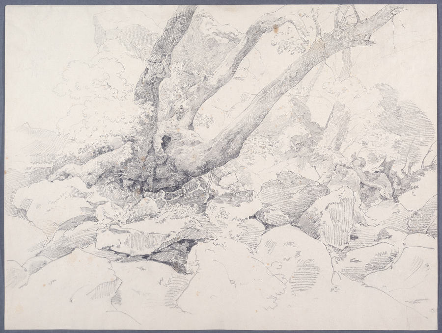 Verkrüppelter Baumstamm auf Felsen bei Ariccia von Ernst Fries