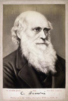 Porträt von Charles Darwin (1809-1882)