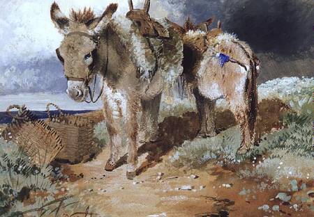 Donkeys von Erskine Nicol