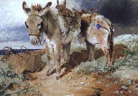 Donkeys 1855