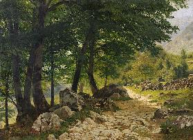 Waldweg Vor 1876