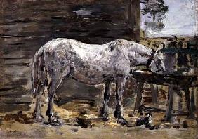 A Horse Drinking c.1885-90
