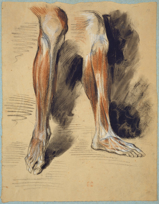 Studienblatt: Anatomie eines rechten Beines von Eugène Delacroix