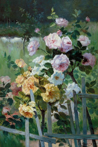 Rosen am Gartenzaun von Eugene Henri Cauchois