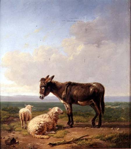 Ass and Sheep von Eugène Joseph Verboeckhoven