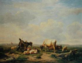 Herdsman and Herd c.1880