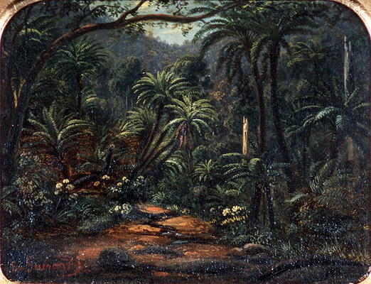 Ferntree Gully in the Dandenong Ranges, 1857 (oil on canvas on cedar panel) von Eugene von Guerard