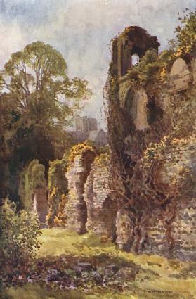 Ruinen der Burg Wolvesey 0
