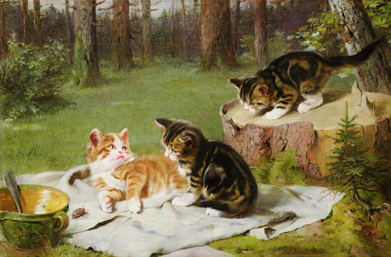 Kittens Playing von Ewald Honnef