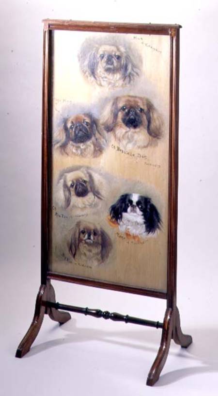 Head studies of Pekinese dogs, mounted as a fire screen von F. Mabel Hollams