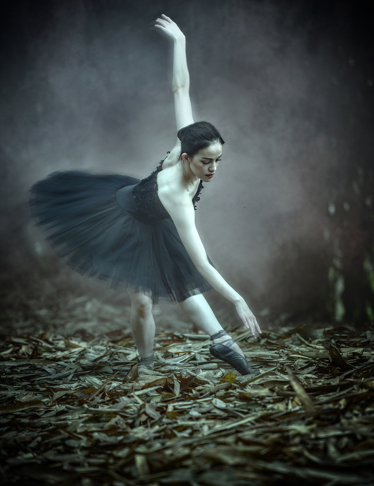 Ballerina von Fahmi Bhs
