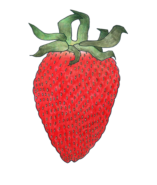 Strawberry 1 von Faisal Khouja