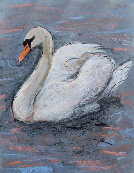 Swan on Lake 2014