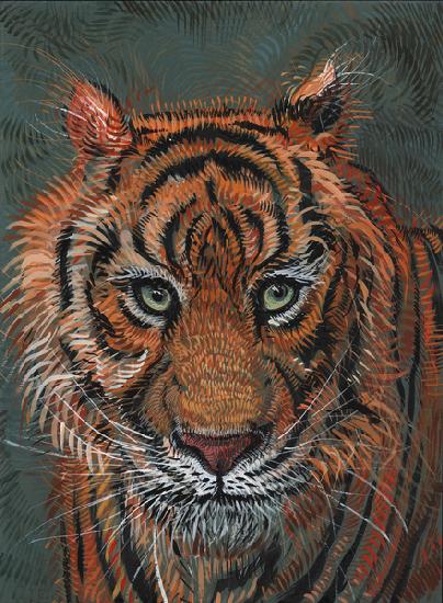 Tiger 2 2014