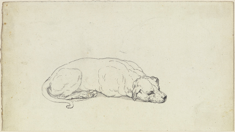 Schlafender Hund von Ferdinand Fellner