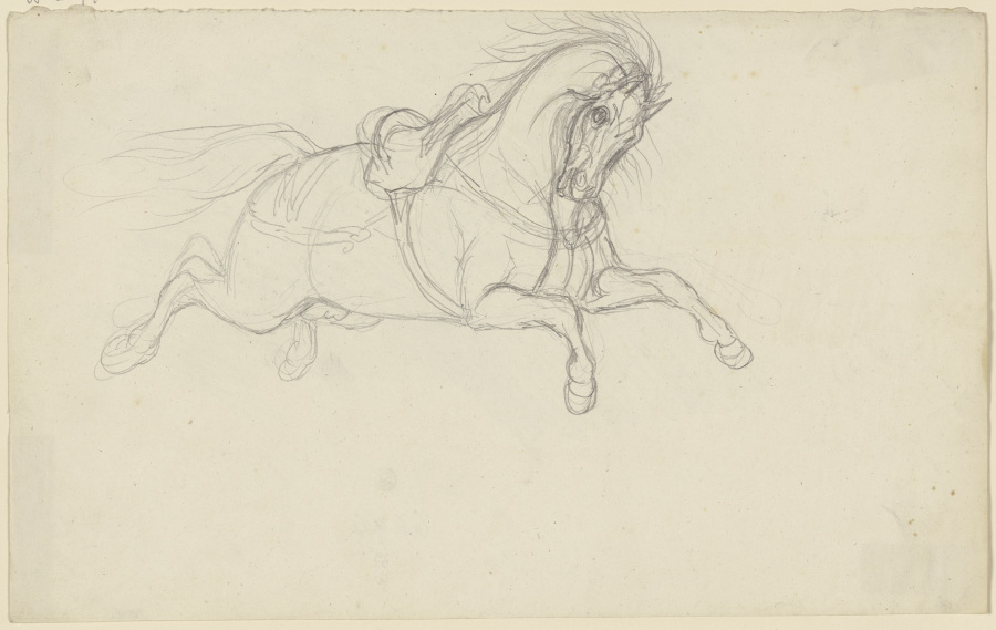 Durchgegangenes gesatteltes Pferd von Ferdinand Fellner