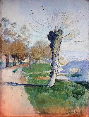 Willow Tree at the Junction, or Willow Tree in Spring, 1884 (oil on canvas) von Ferdinand Hodler