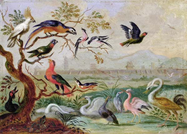 Birds from the Four continents in a landscape with a view of Peking in the background von Ferdinand van Kessel