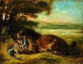 Lion and Alligator 1863