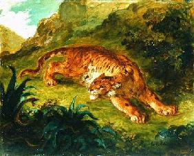 Tiger and Snake 1858