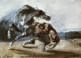 Tigre attaquant un cheval sauvage 1826
