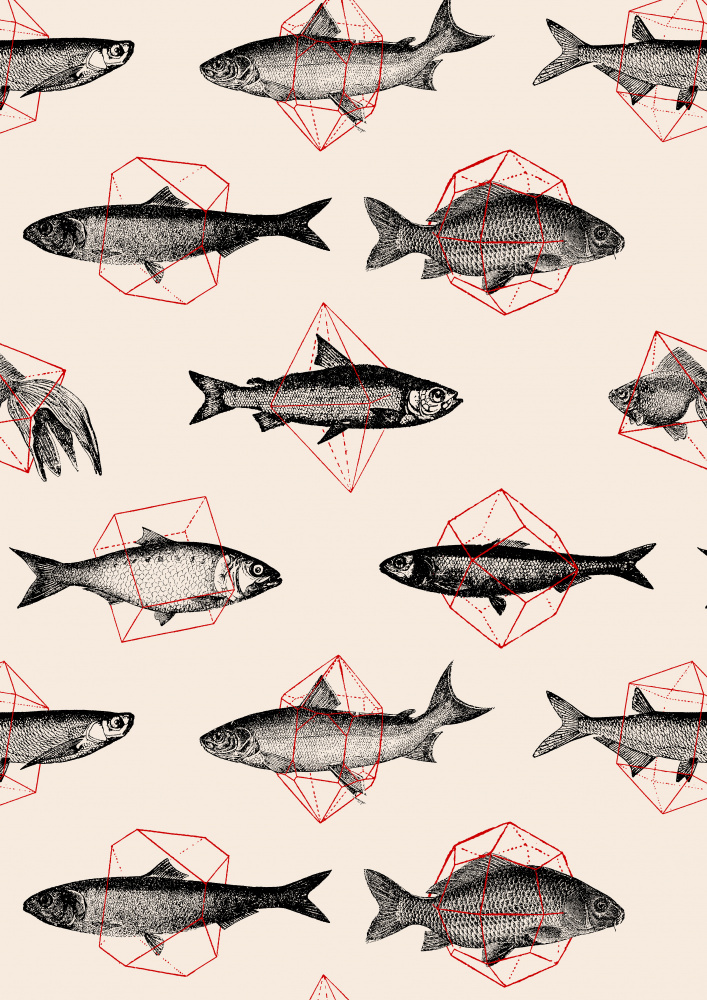Fische in der Geometrie Nr. 4 von Florent Bodart