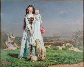 Pretty Baa-Lambs 1851