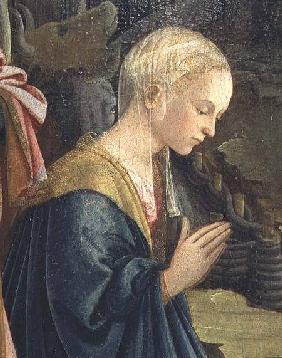 The Nativity, detail depicting the Madonna 1470
