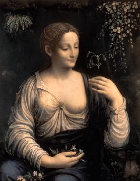 Flora c.1520