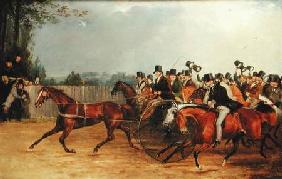 'Nonpareil' trotting 100 Miles on Sunbury Common 1836