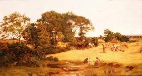 Cornfield in Essex 1875