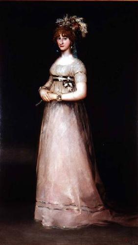 Portrait of Maria Theresa de Bourbon y Vallabriga, the Condesa de Chinchon 1801
