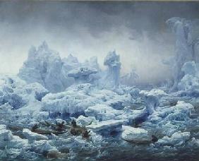 Fishing for Walrus in the Arctic Ocean 1841