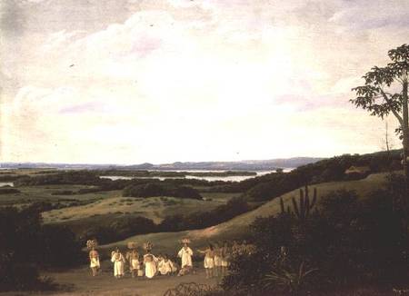 Panoramic View in Brazil with a River in the Distance  (pair of 61465) von Frans Post