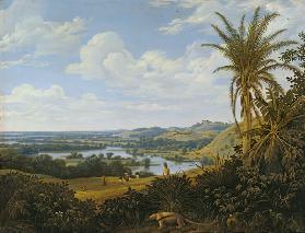 Brasilianische Landschaft mit Ameisenbär 1649