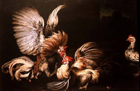 Fighting Cocks von Frans Snyders