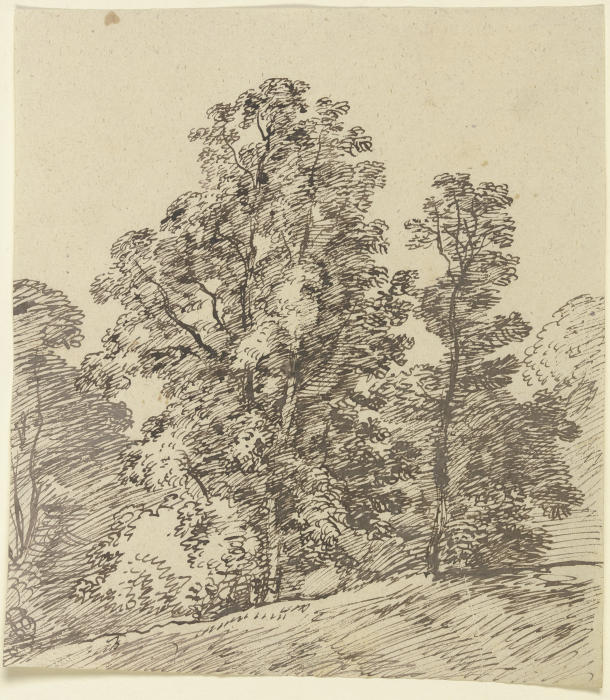 Bäume am Rande eines sanften Abhangs von Franz Innocenz Josef Kobell