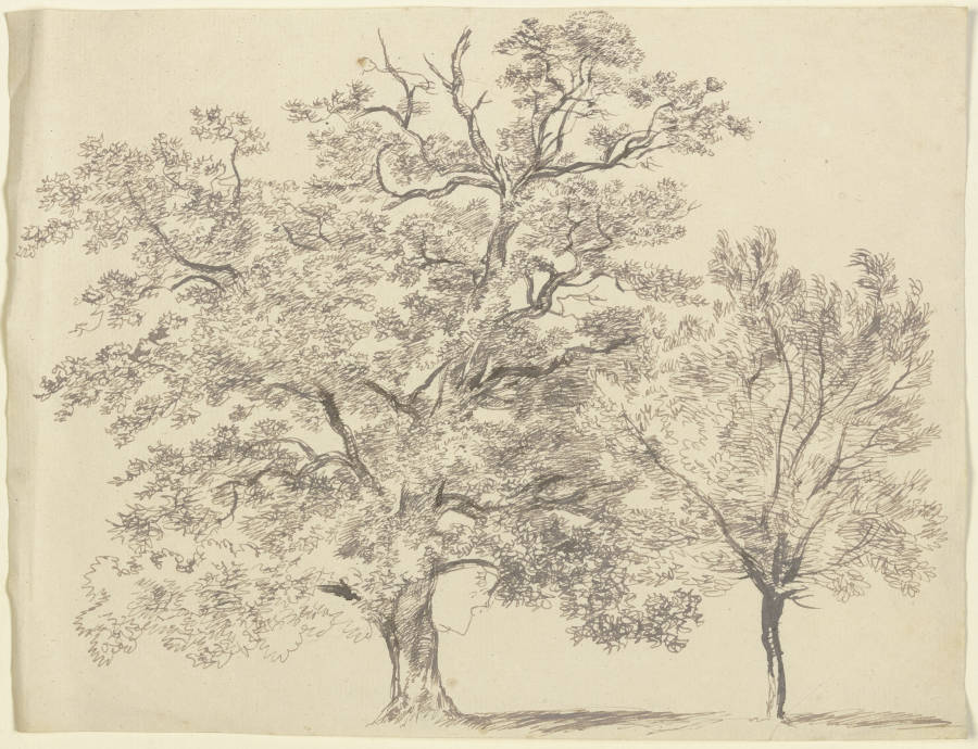 Ein alter und ein junger Baum von Franz Innocenz Josef Kobell