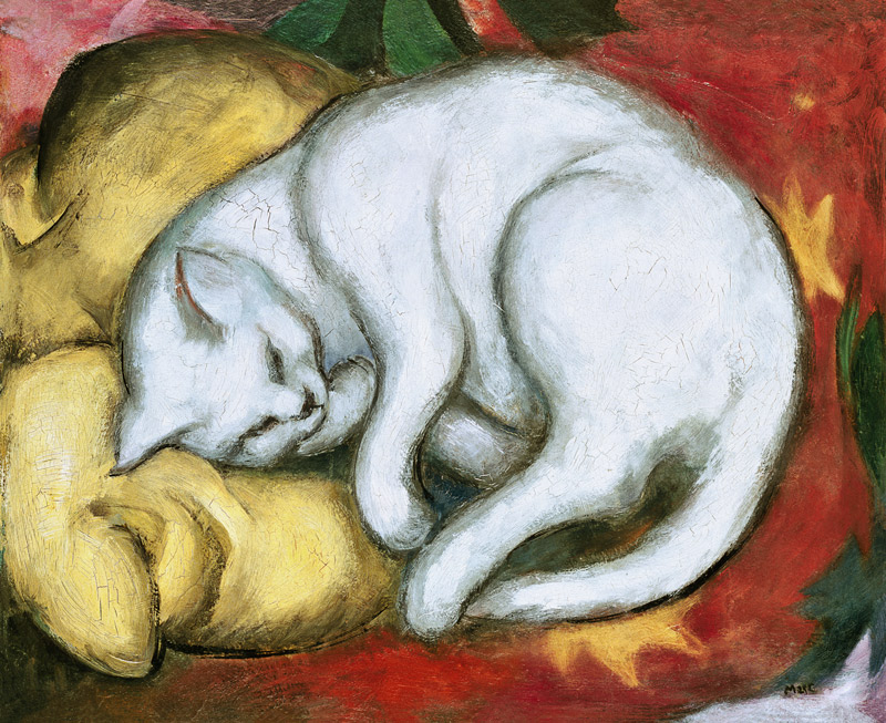 Die weiße Katze (Kater auf gelbem Kissen) von Franz Marc