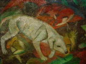 Hund, Katze, Fuchs 1912