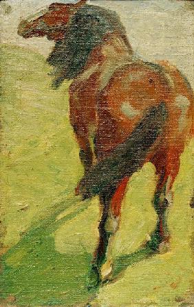 Studie eines Pferdes 1908