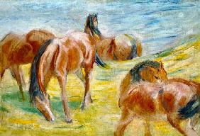 Grasende Pferde 1910