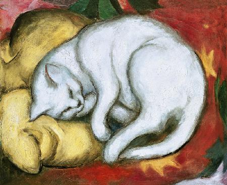 Die weiße Katze (Kater auf gelbem Kissen) 1912