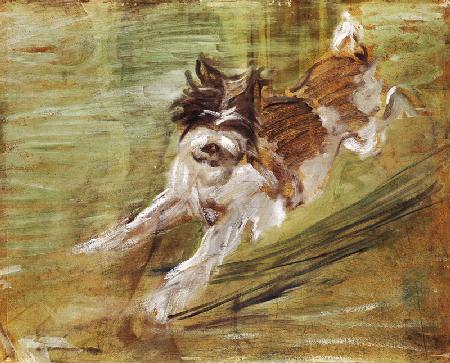 Springender Hund 1904