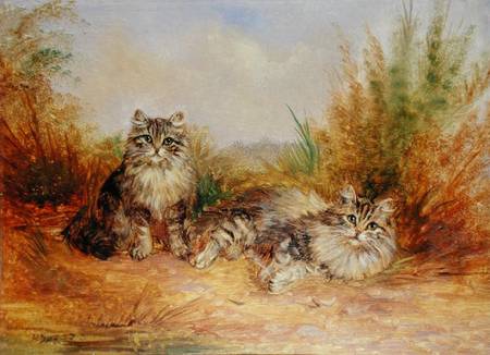 Two Tabby Kittens in a Rural Landscape von Frederick French