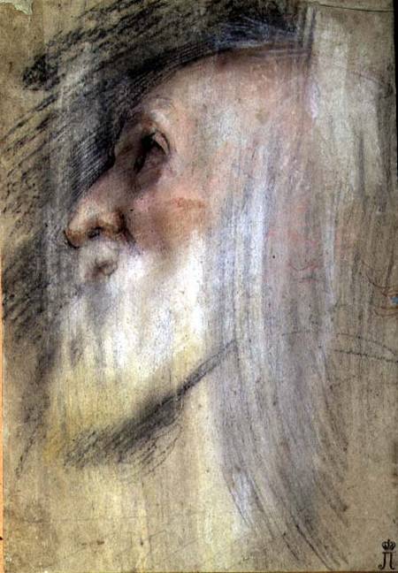 Head of an Old Man in Profile von Frederico (Fiori) Barocci