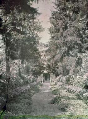 Path in Monet's Garden at Giverny, early 1920s (photo) 19th